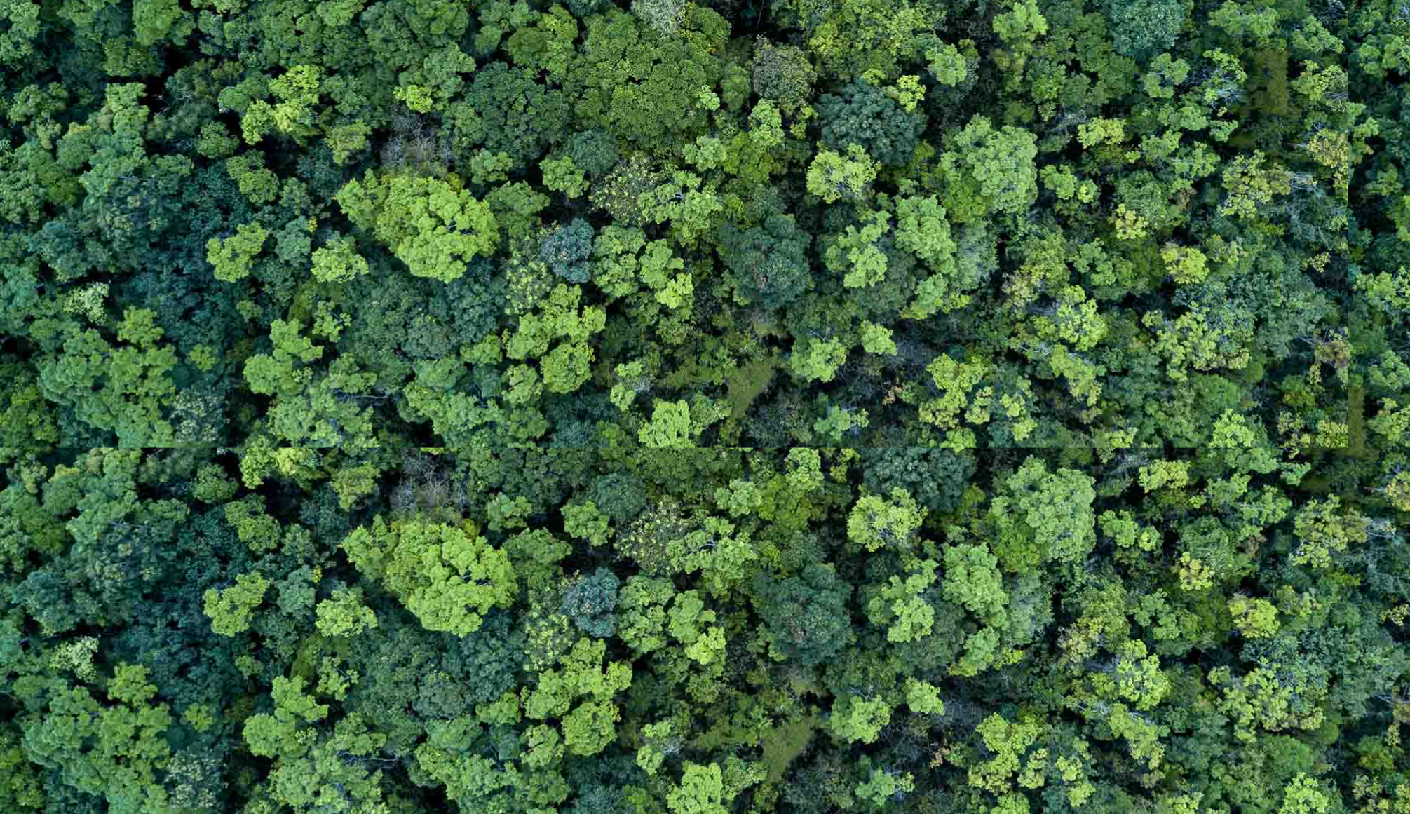 CO2