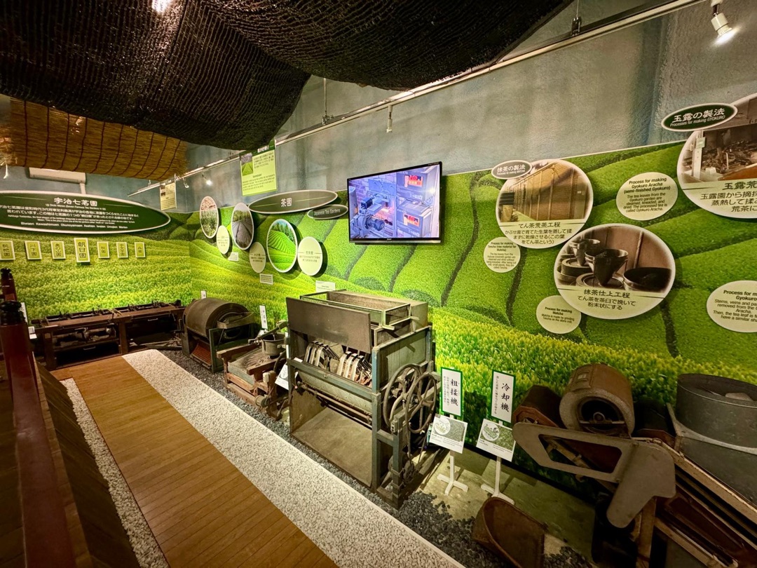 Teeanbau Tee-Ernte Japan Teequalität vor Ort