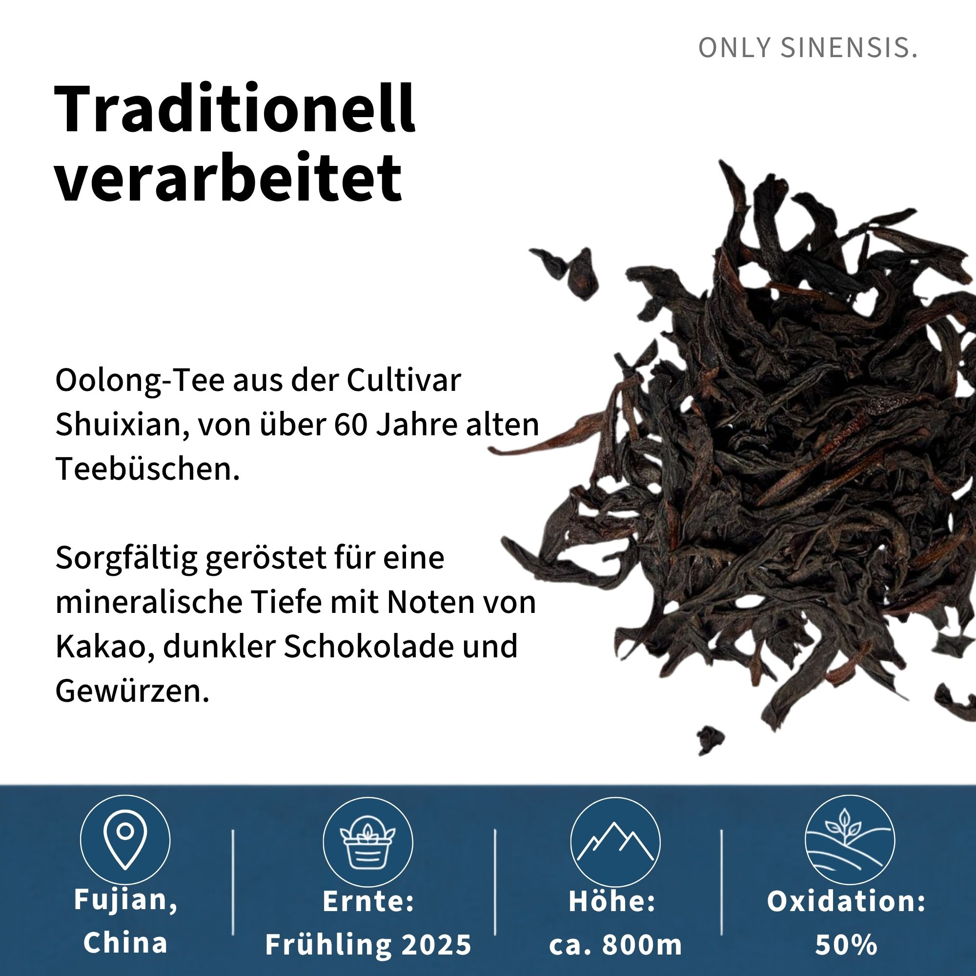 Oolong Tee Laocong Shuixian - Berlin Tea Academy Only Sinensis