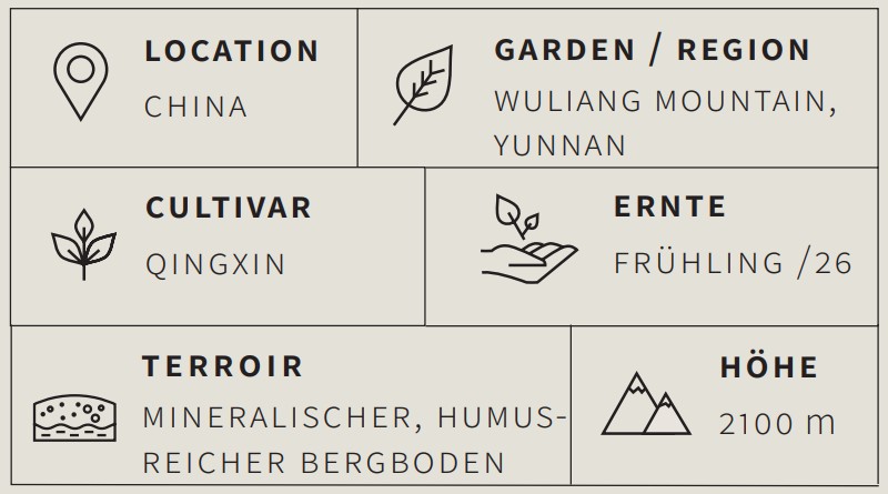 Oolong Tee Wuliang Ruanzhi - Berlin Tea Academy Only Sinensis