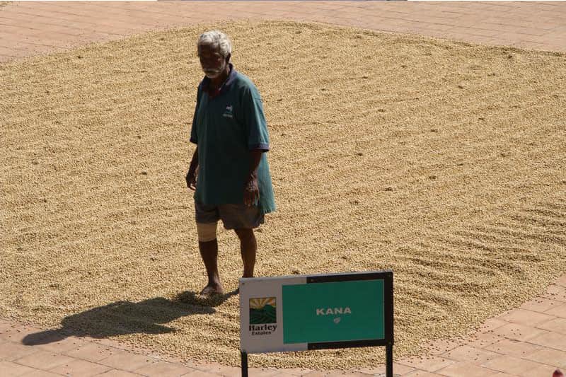Region: Karnataka