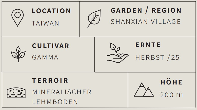 Grüner Tee Formosa Pi Lo Chun - Berlin Tea Academy Only Sinensis
