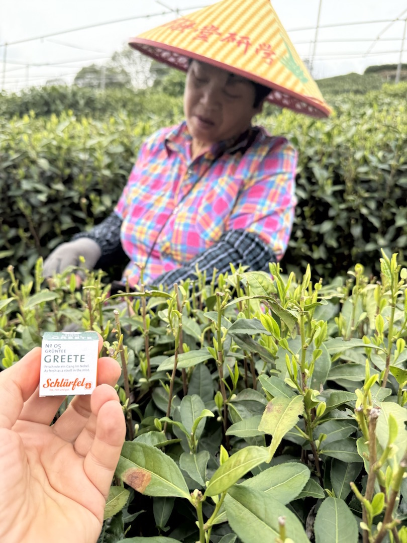 Schlürf - BIO Grüntee Greete №05