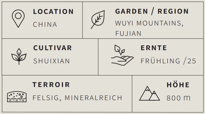 Oolong Tee Laocong Shuixian - Berlin Tea Academy Only Sinensis
