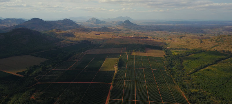Malawi AAA+ Pamwamba