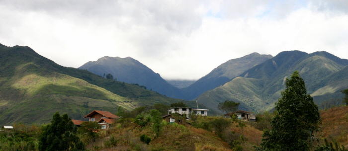 Bild zur Plantage  Region Vilcabamba APECAEL - Qualitäts Kaffee Ecuador