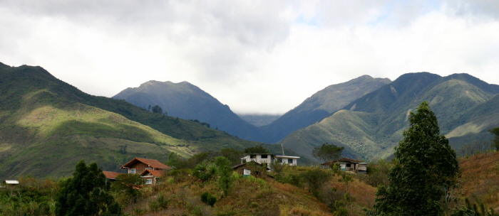 Region Vilcabamba APECAEL - Qualitäts Kaffee Ecuador