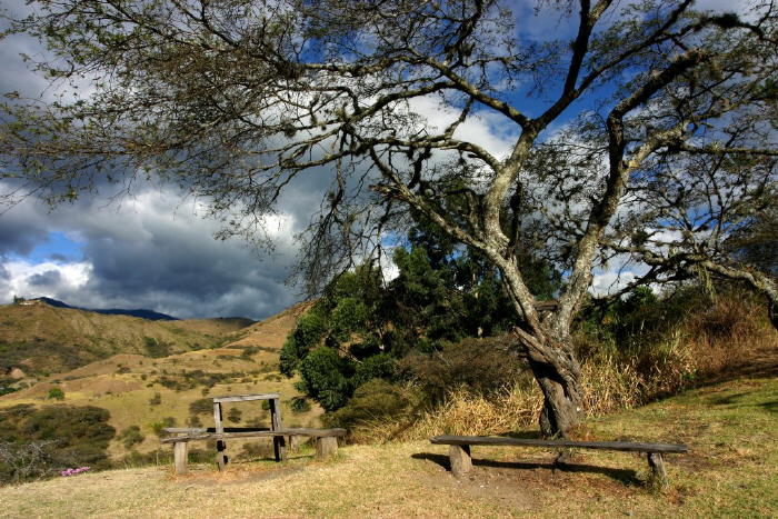 Region Vilcabamba APECAEL - Qualitäts Kaffee Ecuador