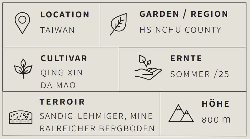 Oolong Tee Oriental Beauty - Berlin Tea Academy Only Sinensis