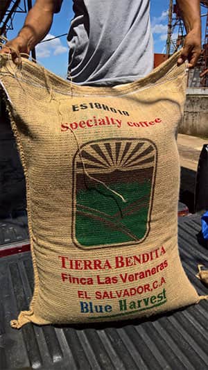 Finca Las Veraneras - herausragende Kaffeebohnen und Aromen aus El Salvador