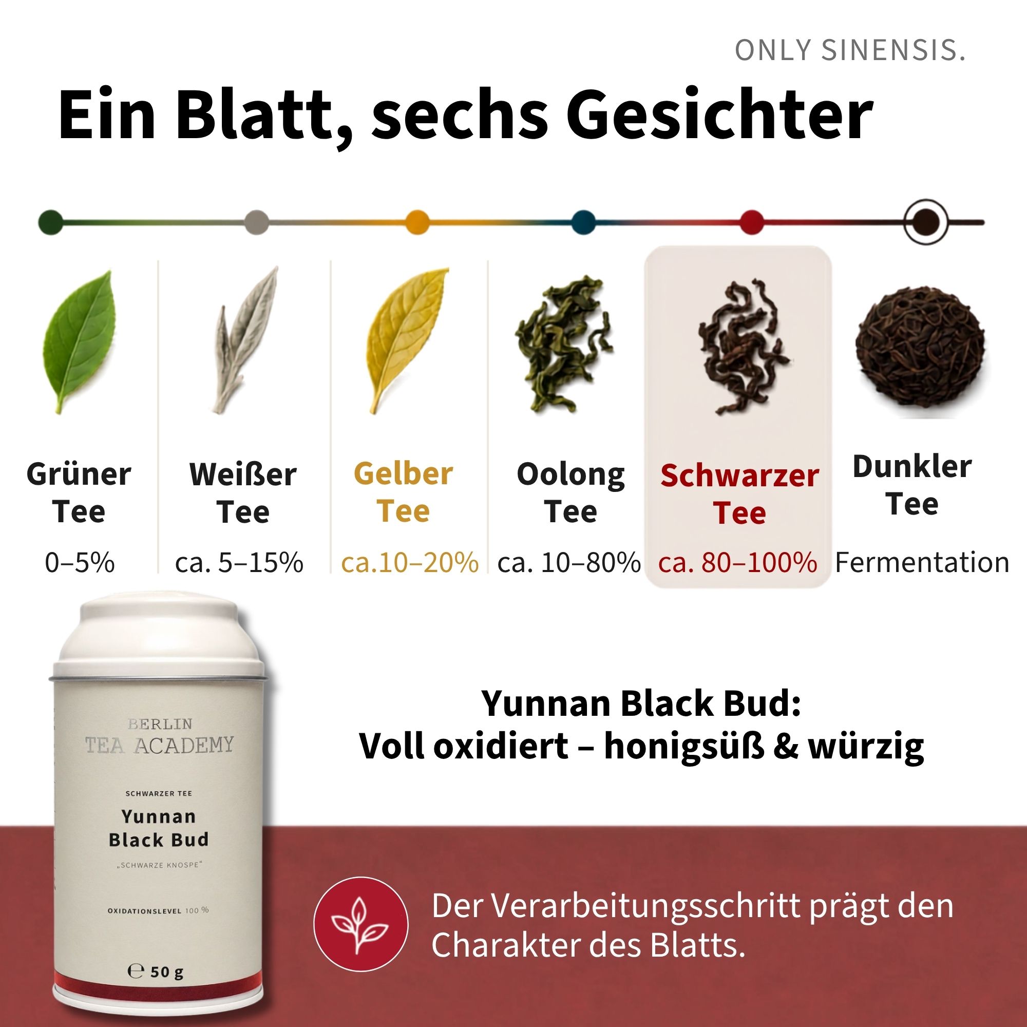 Schwarzer Tee Yunnan Black Bud - Berlin Tea Academy Only Sinensis