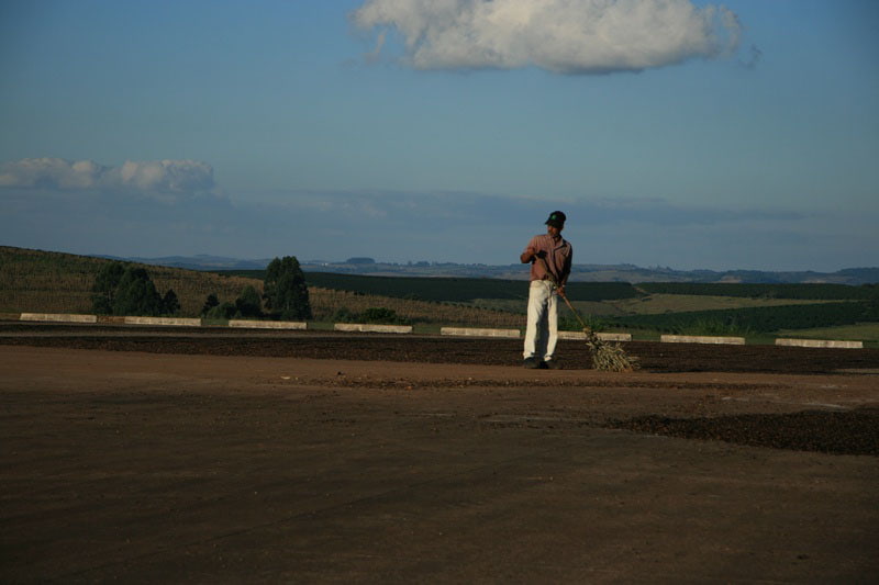 Fazenda da Lagoa Estate - feine Kaffeebohnen aus Brasilien
