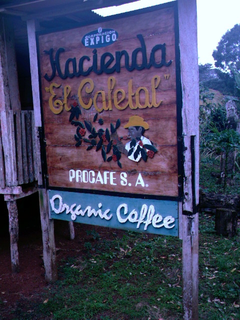 El Cafetal Estate - außergewöhnlicher Kaffee von Galapagos Ecuador