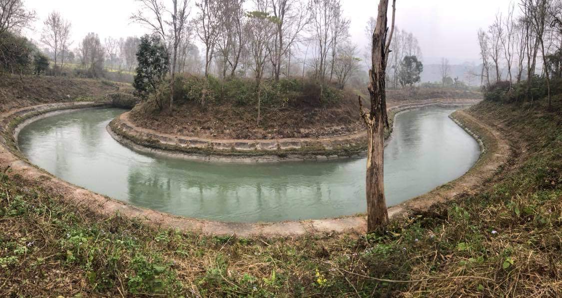 Gauribesi Estate - unverwechselbare Aromen im Kaffee aus Nepal
