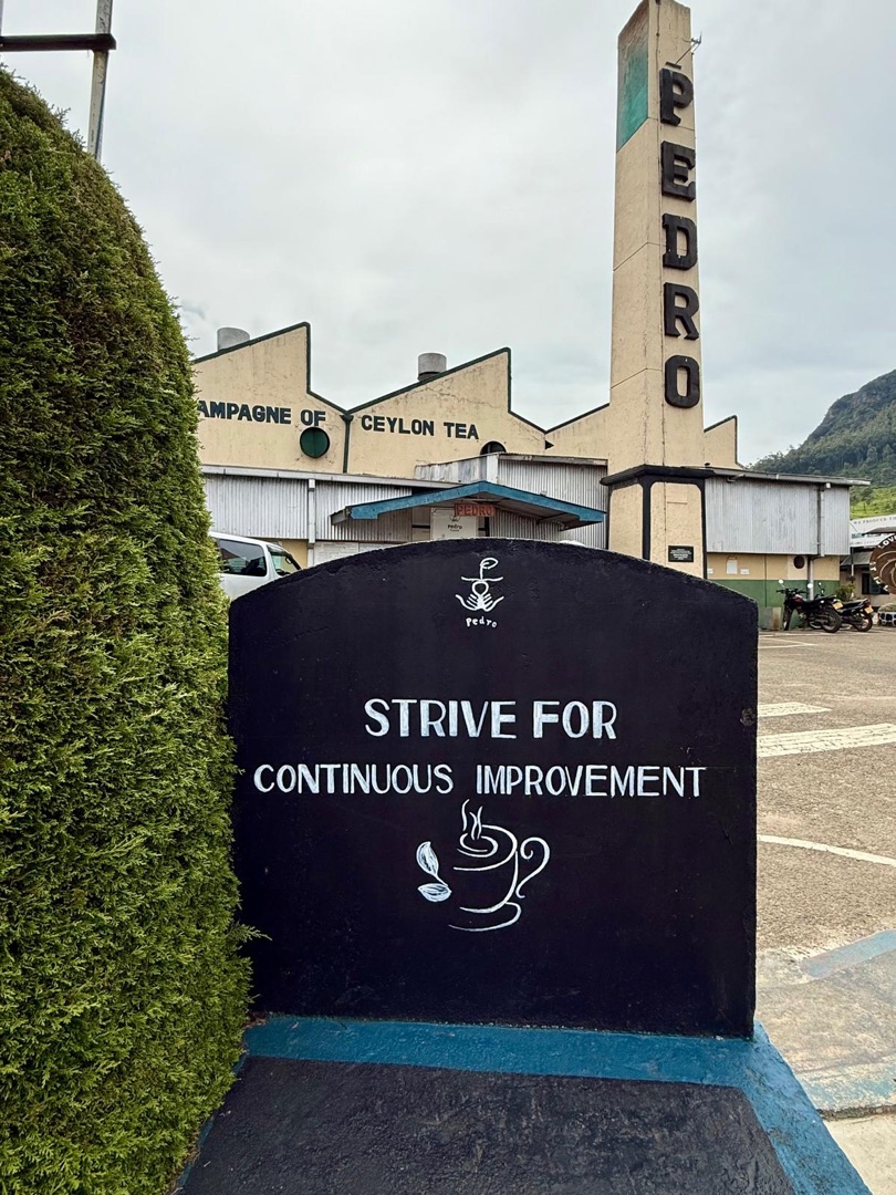 Teeanbau Tee-Ernte Sri Lanka Teequalität vor Ort