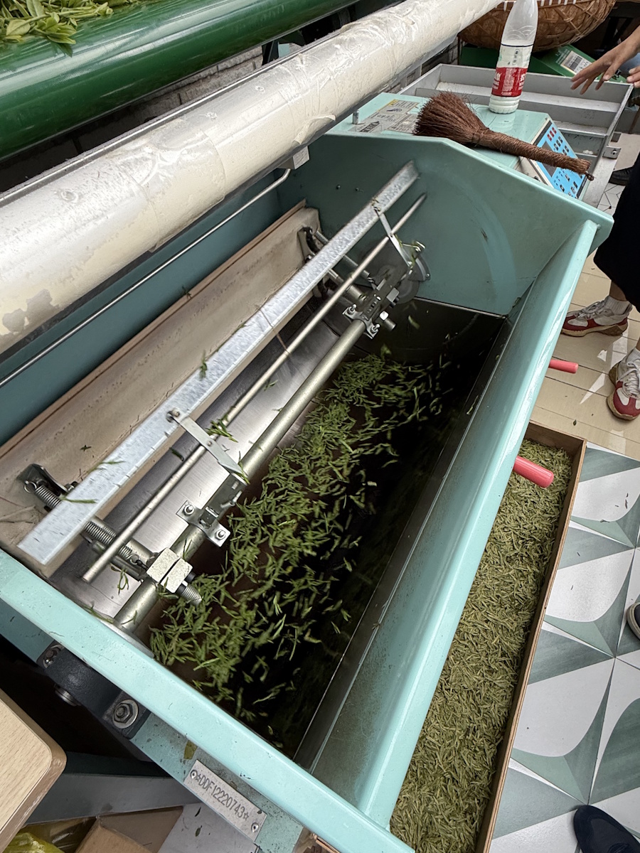 Teeanbau Tee-Ernte China Teeverarbeitung hohe Qualität Grüner Tee Schwarzer Tee Ursprung