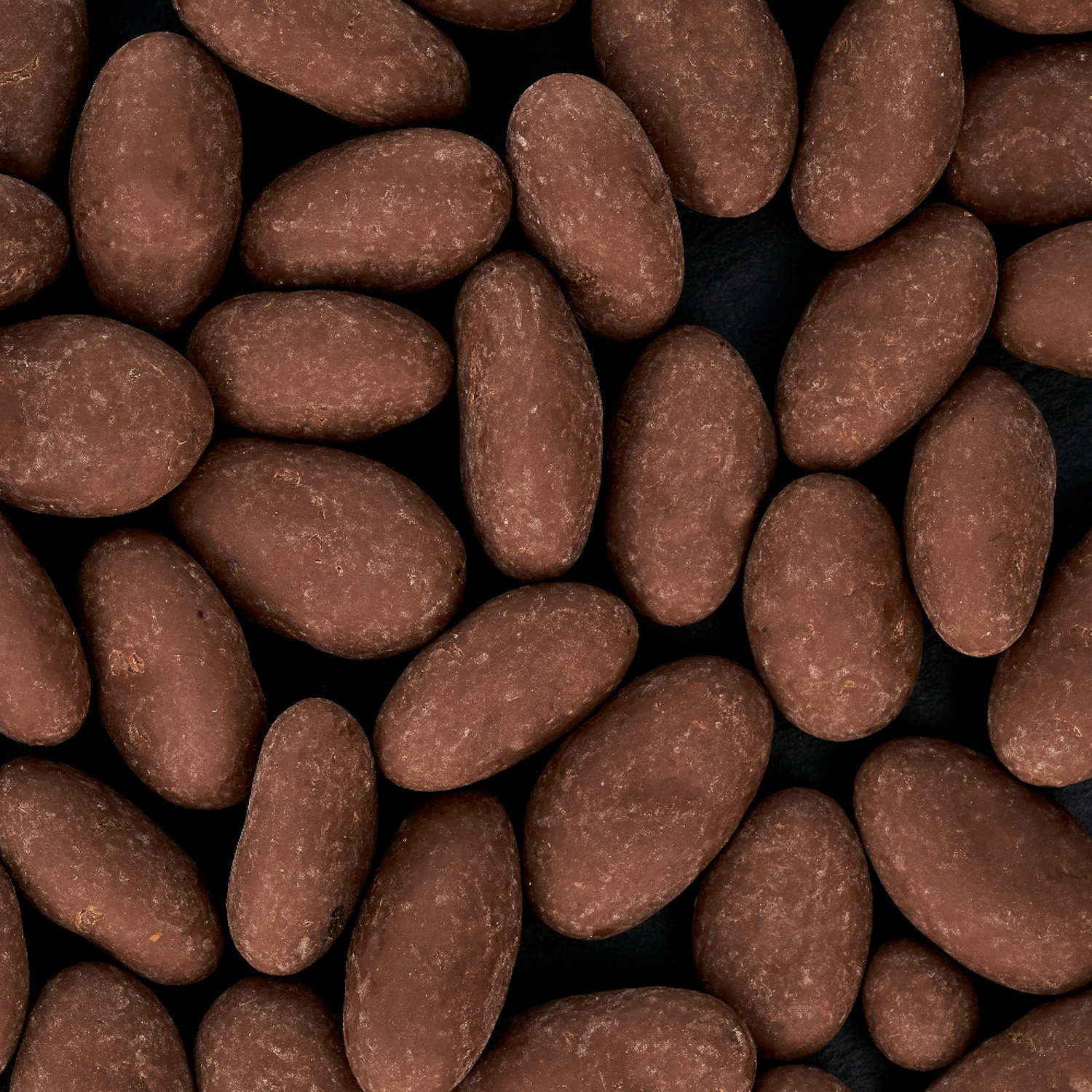 Kakao - ganze Kakaobohnen in Edelvollmilchschokolade 43 %