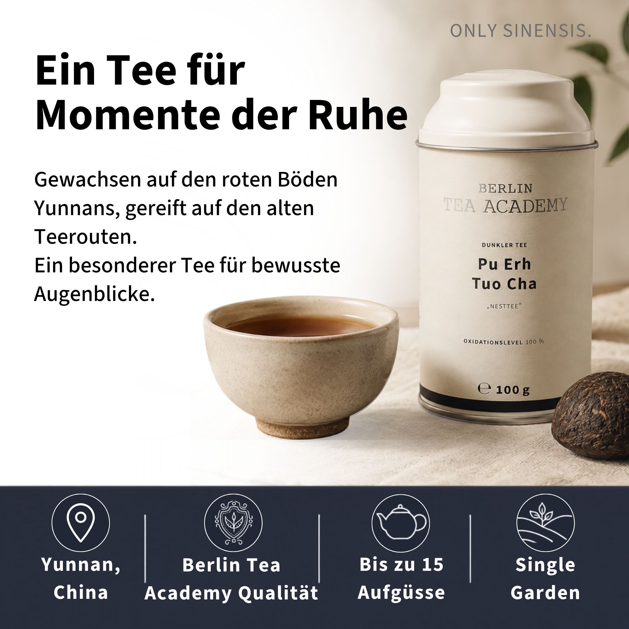 Pu-Erh Tee Pu Erh Tuo Cha - Berlin Tea Academy Only Sinensis