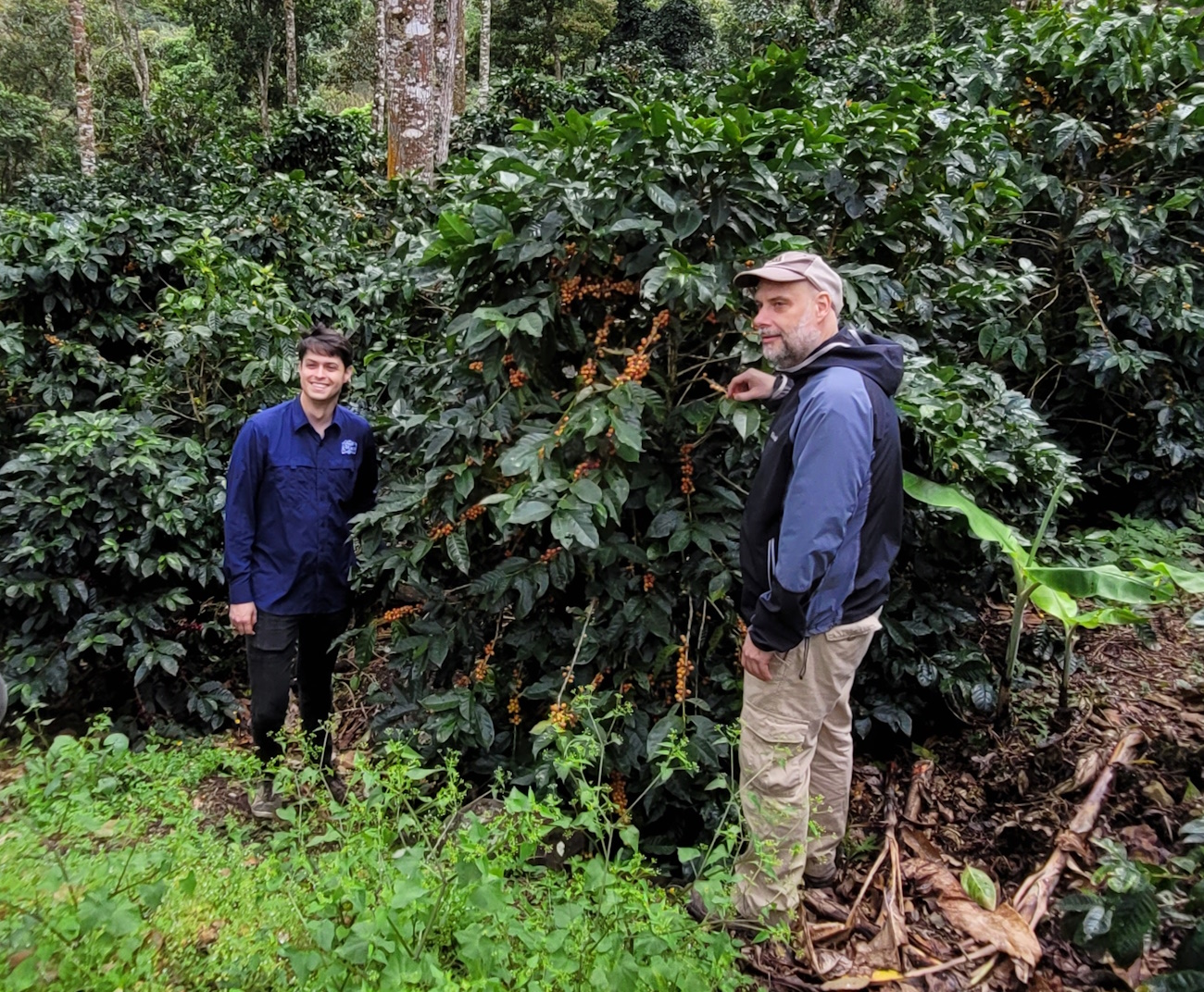 kaffee-berliner-kaffeeroesterei-nicaragua-finca-mierisch-kaffeeanbau2 kaffee-berliner-kaffeeroesterei-nicaragua-finca-mierisch-kaffeeanbau2