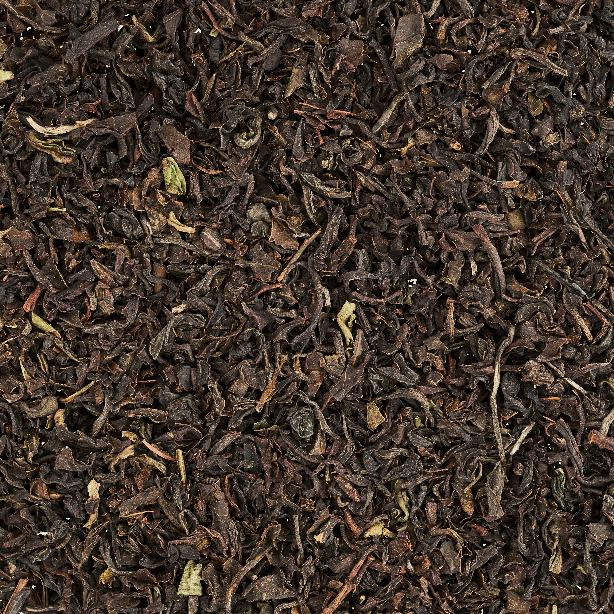 Schlürf - BIO Breakfast Tea Hauke №02