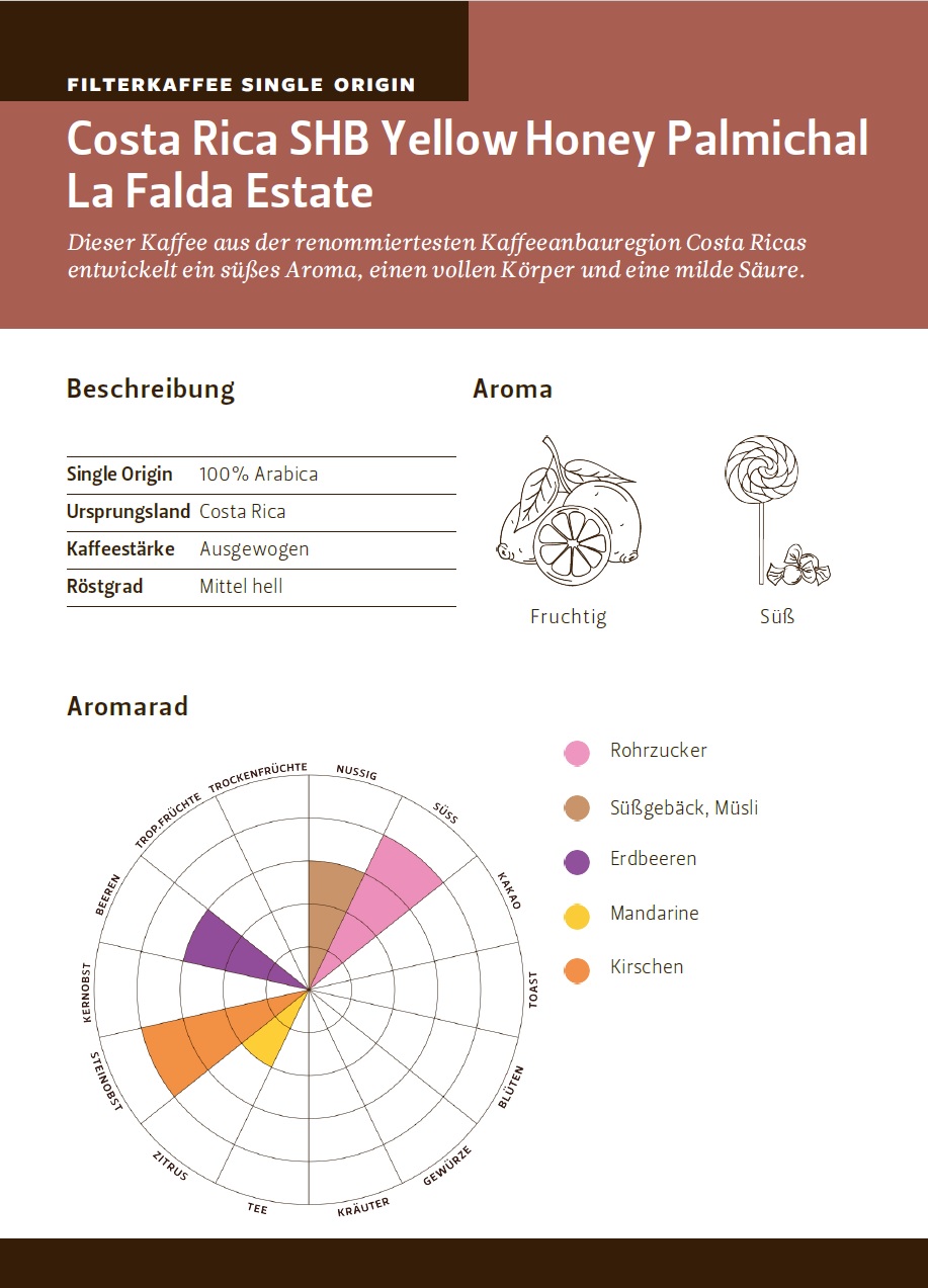 Costa Rica SHB Yellow Honey Palmichal La Falda Estate