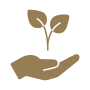 Icon_Nachhaltigkeit