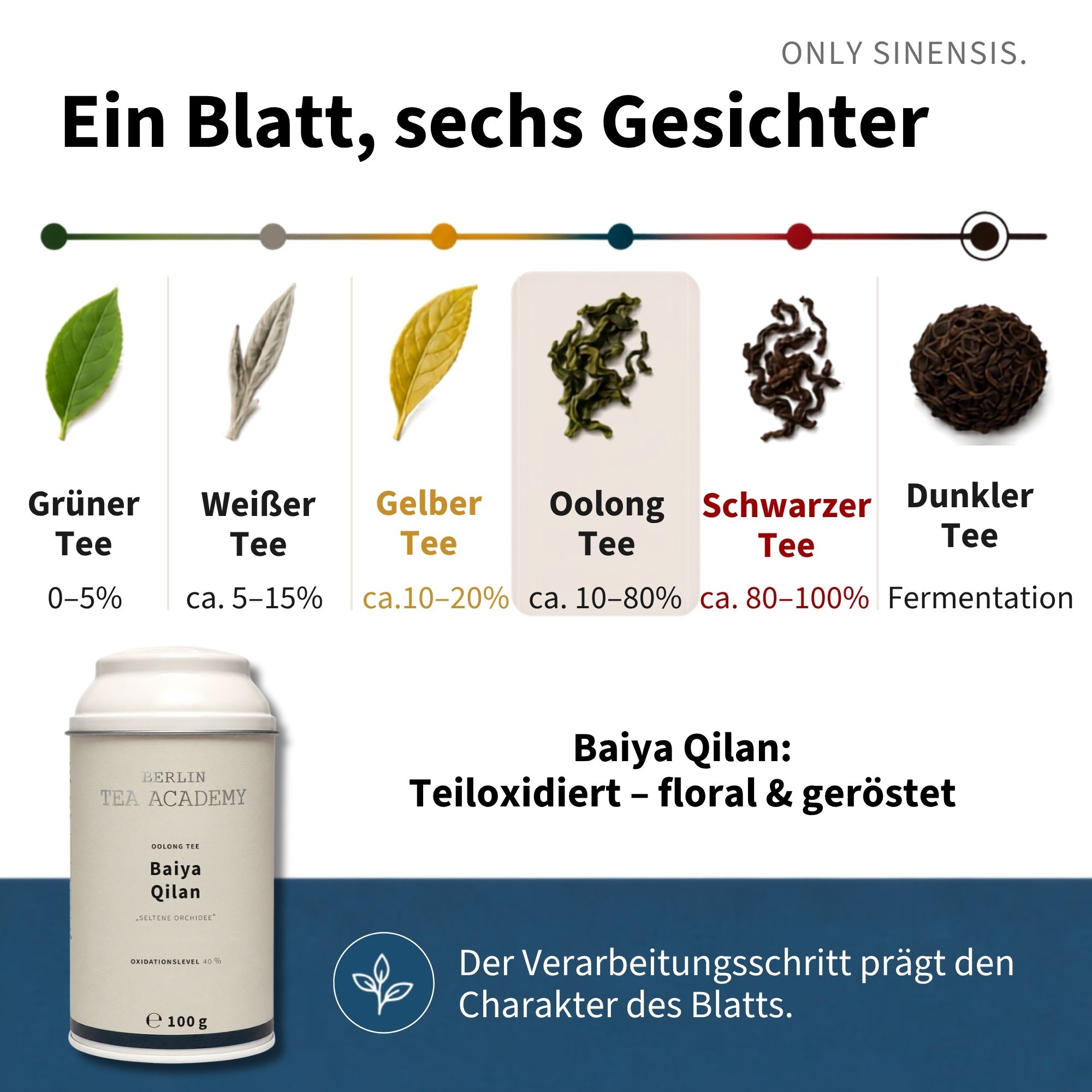 Oolong Tee Jiufeng Baiya Qilan - Berlin Tea Academy Only Sinensis