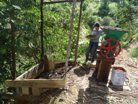 Cooperativa Mejillones - aromatische Kaffeebohnen aus Bolivien
