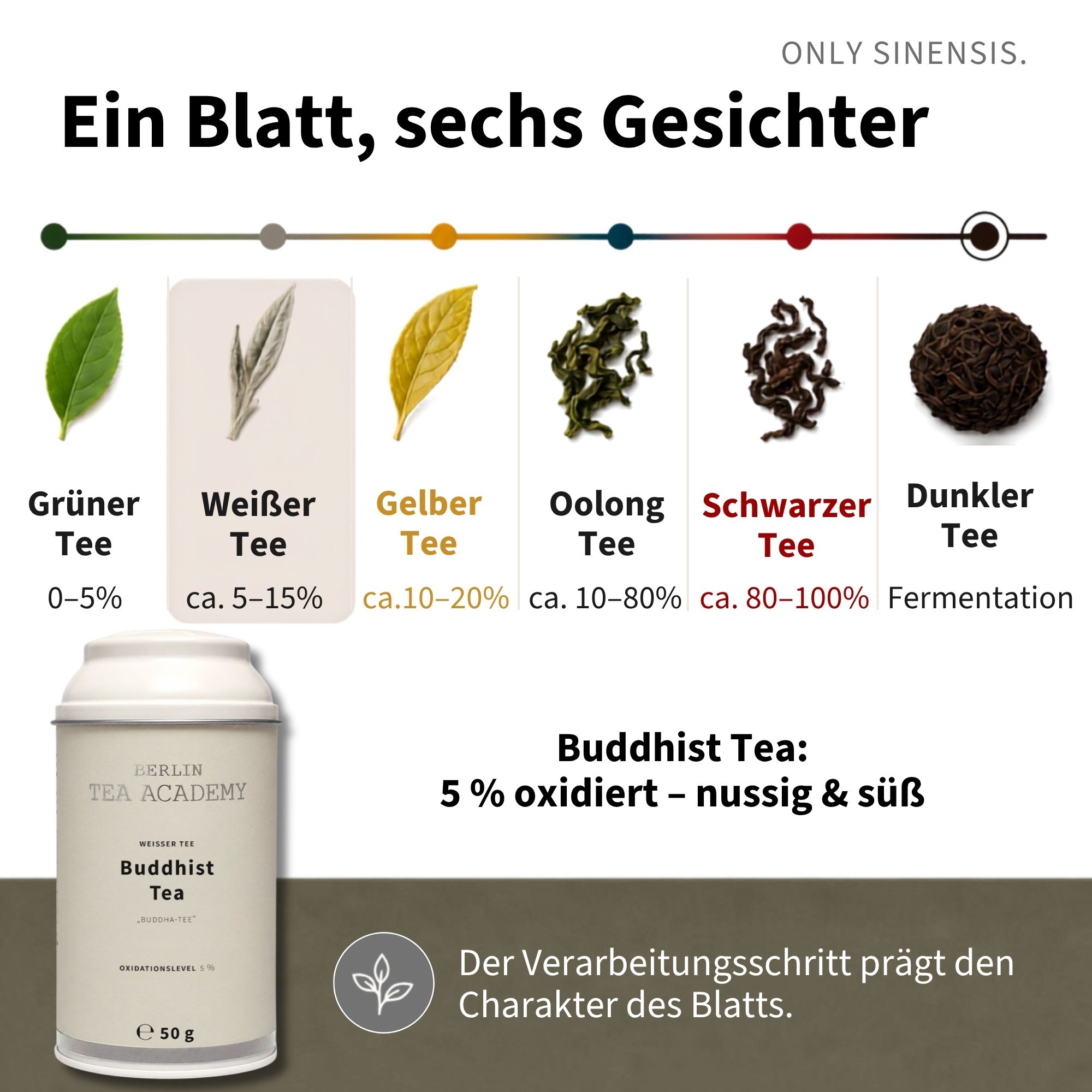 Weißer Tee Buddhist Tea - Berlin Tea Academy Only Sinensis