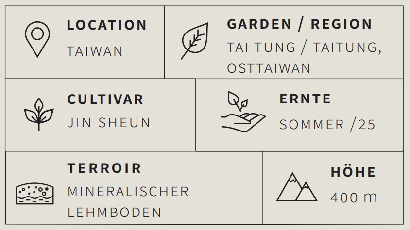 Oolong Tee Formosa Dark Pearl- Berlin Tea Academy Only Sinensis