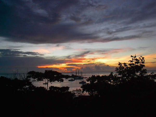 El Cafetal Estate - außergewöhnlicher Kaffee von Galapagos Ecuador