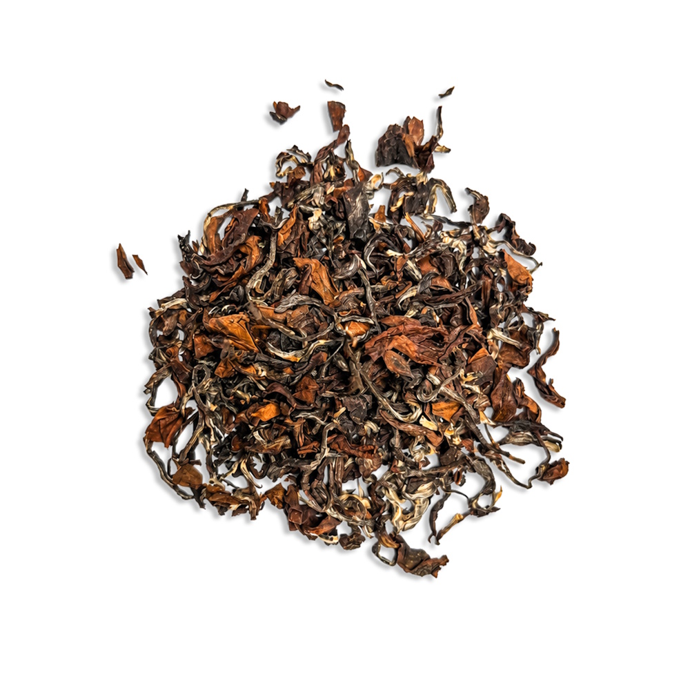 Berlin Tea Academy - Oriental Beauty - Oolong Tee in der Doese