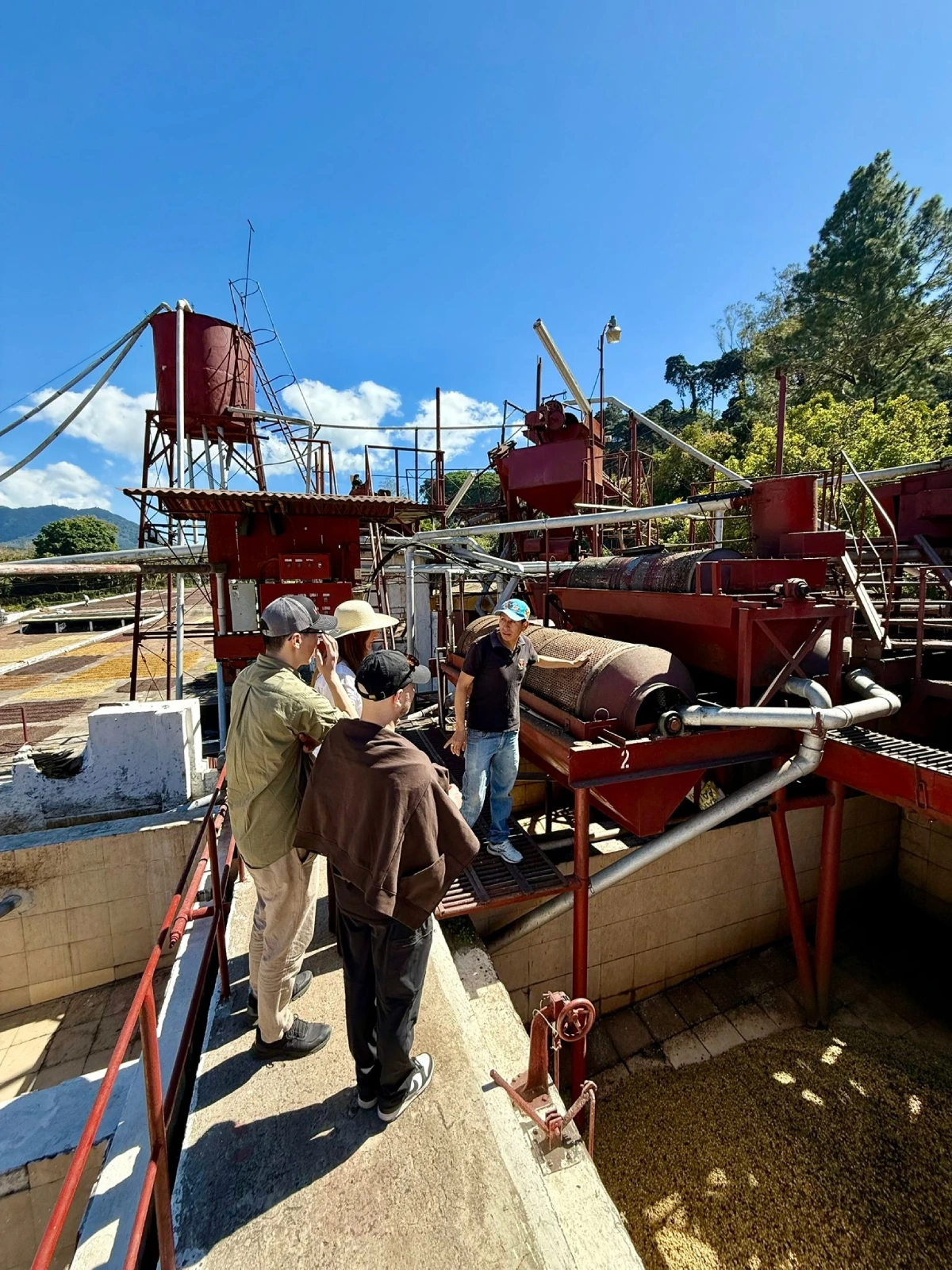 Kaffeeland El Salvador auf Plantage