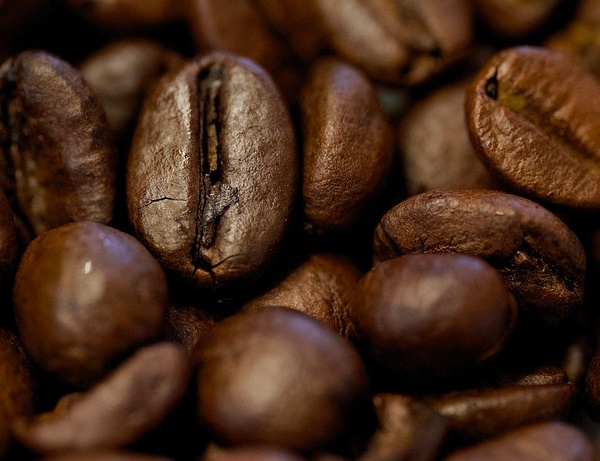 Berliner Kaffeerösterei Kaffeebohne Espresso beste Qualität Spezialitätenkaffee