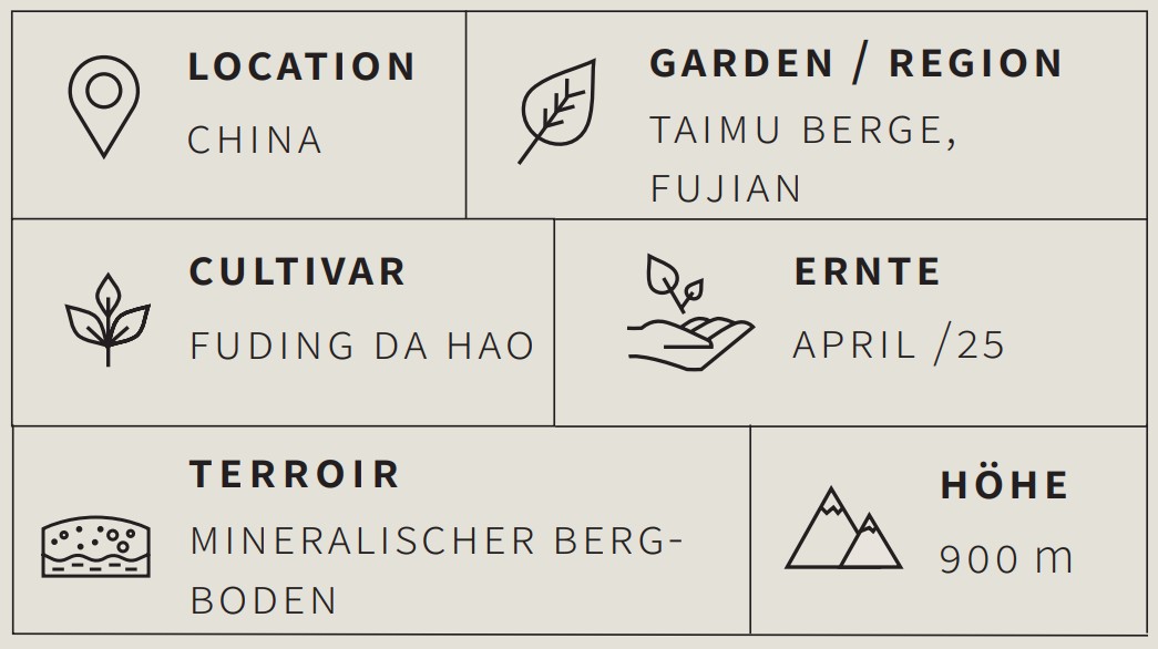 Grüner Tee White Monkey - Berlin Tea Academy Only Sinensis