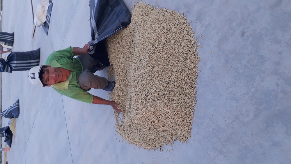 Kooperative ACPC Pichanaki