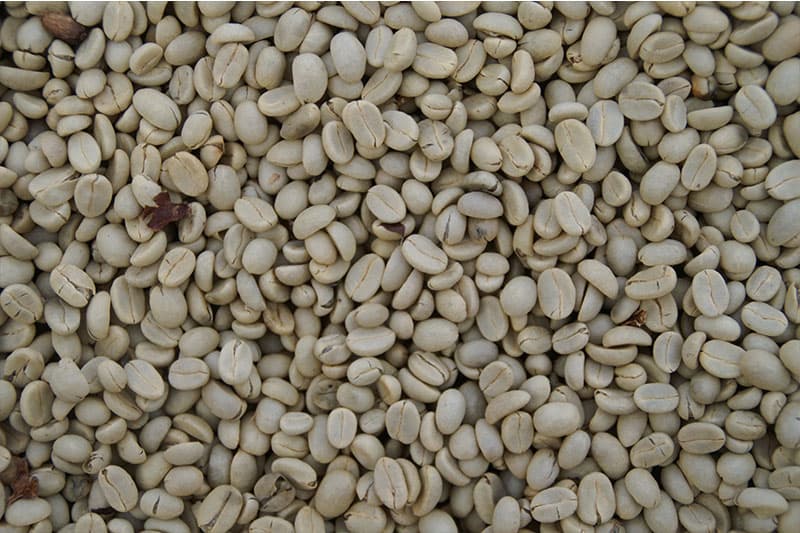 Bild zur Plantage  Mangalore, Malabar Region - einzigartiger Monsun Kaffee aus Indien