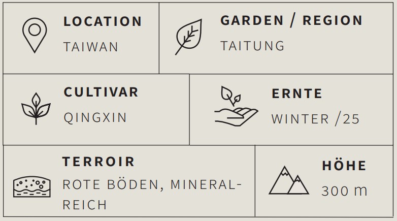 Oolong Tee Taitung Red Oolong - Berlin Tea Academy Only Sinensis