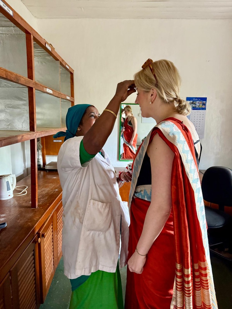 Teeanbau Tee-Ernte Sri Lanka Teequalität vor Ort