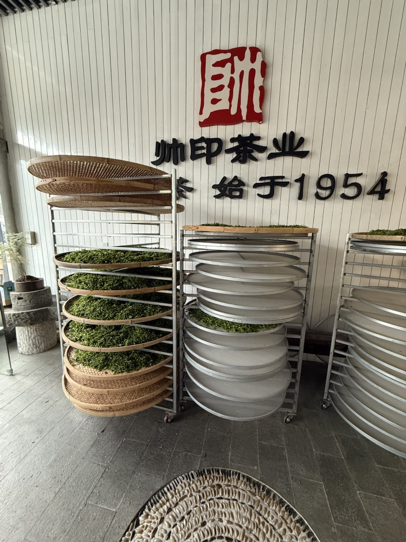 Teeanbau Tee-Ernte China Teeverarbeitung hohe Qualität Grüner Tee Schwarzer Tee Ursprung