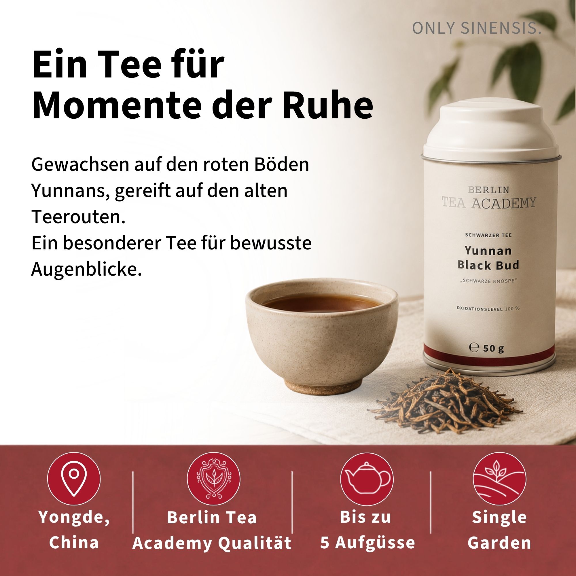Schwarzer Tee Yunnan Black Bud - Berlin Tea Academy Only Sinensis