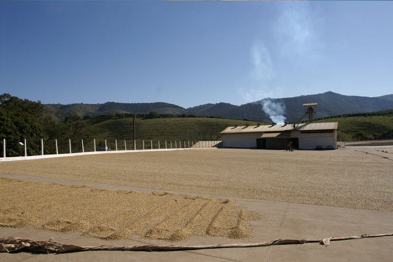 Fazenda da Lagoa Estate - feine Kaffeebohnen aus Brasilien