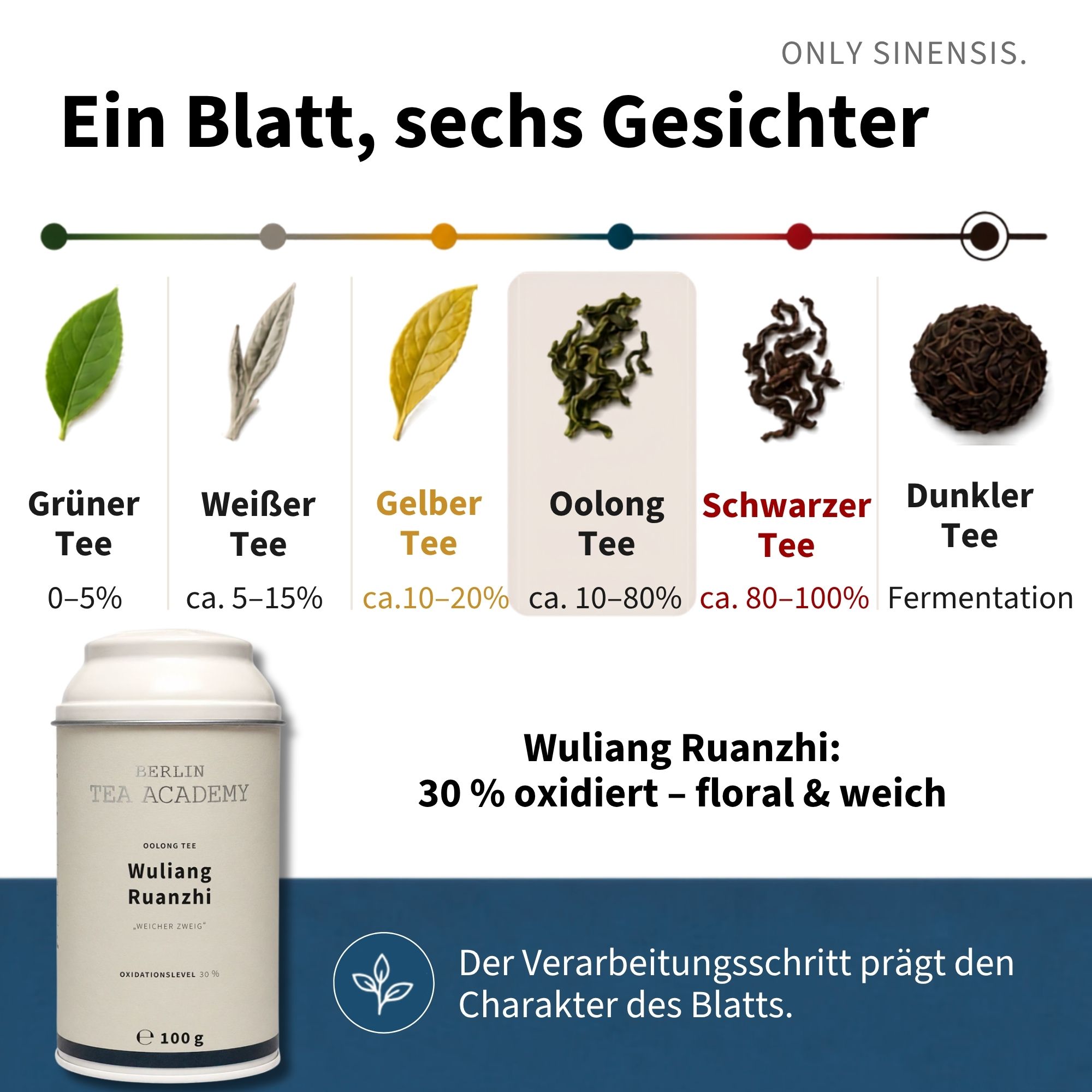 Oolong Tee Wuliang Ruanzhi - Berlin Tea Academy Only Sinensis