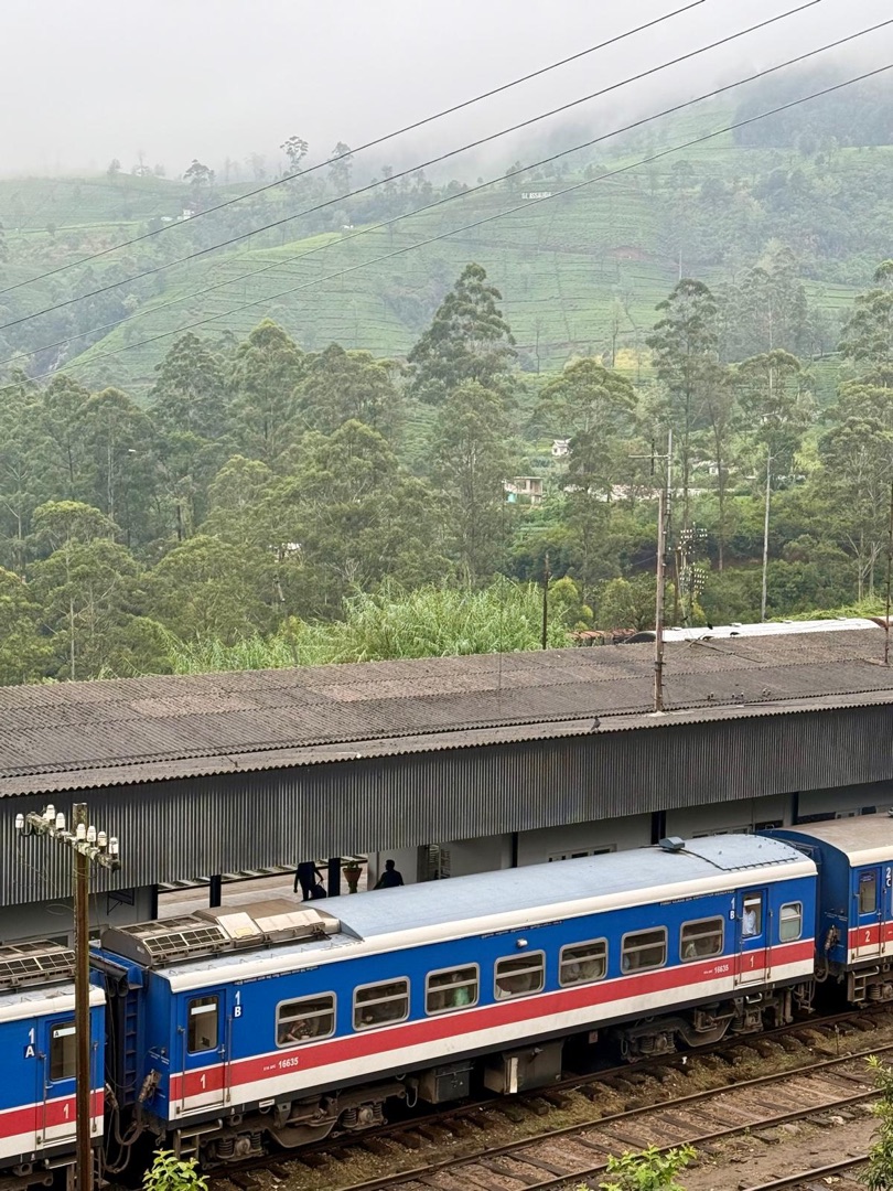 Teeanbau Tee-Ernte Sri Lanka Teequalität vor Ort