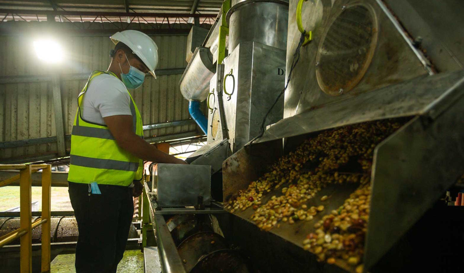 Cooperative Cafescor (Cafés Especiales Corquín S.A)