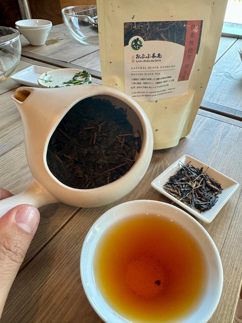 Teeanbau Tee-Ernte Japan Teequalität vor Ort