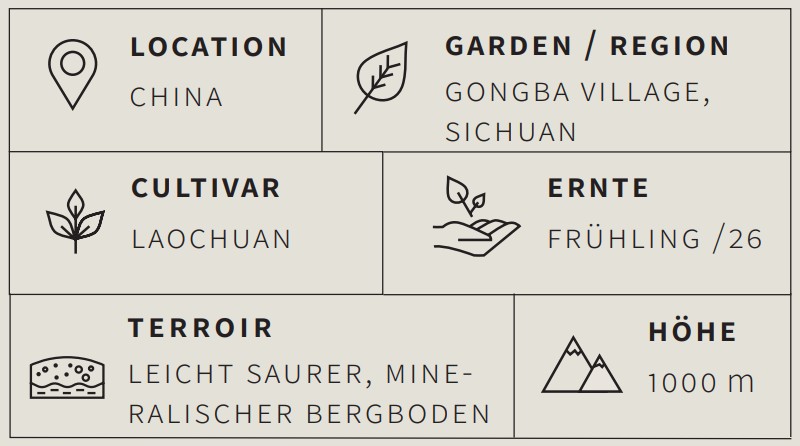 Schwarzer Tee Laochuan Hongmei - Berlin Tea Academy Only Sinensis