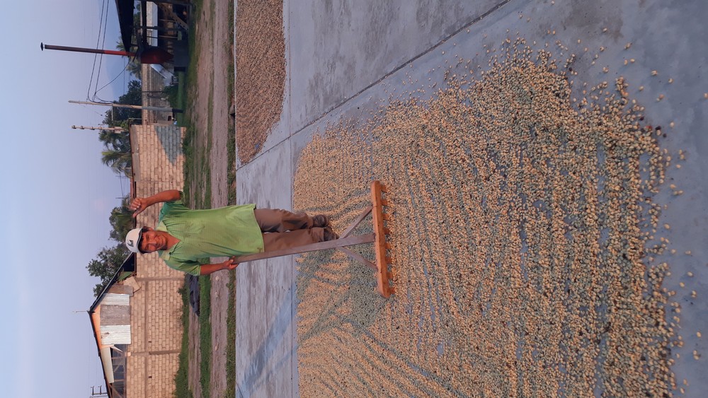 Kooperative ACPC Pichanaki