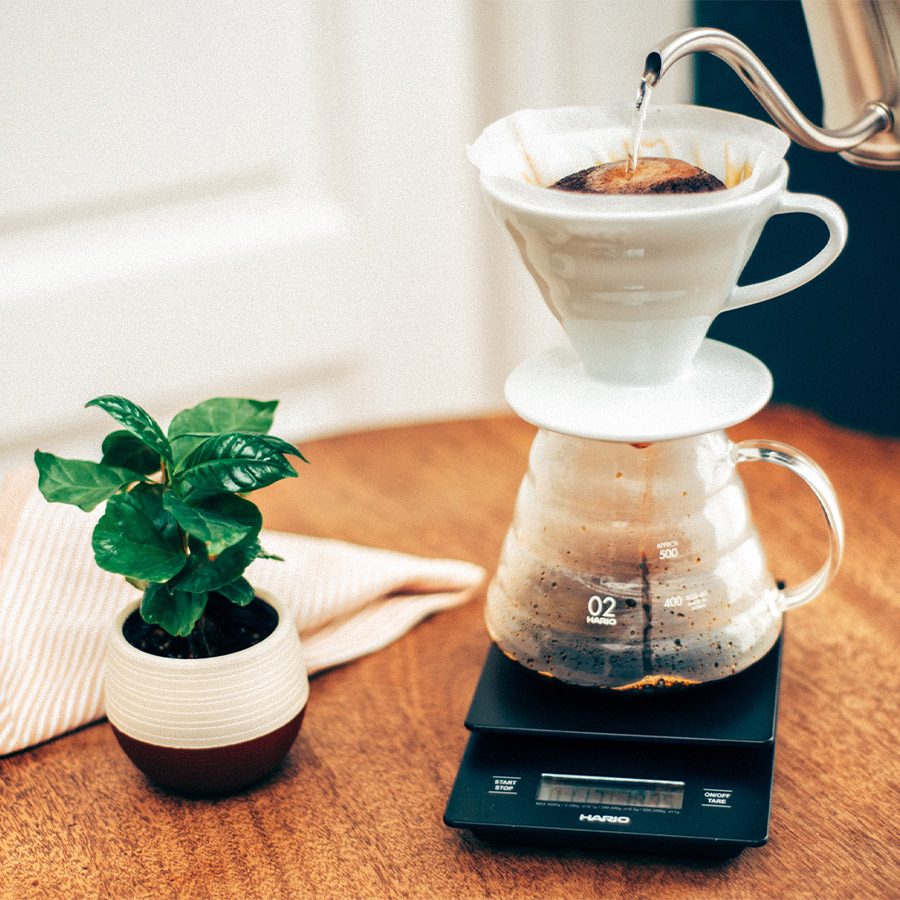 Hario - V60 Drip Scale Kaffeewaage