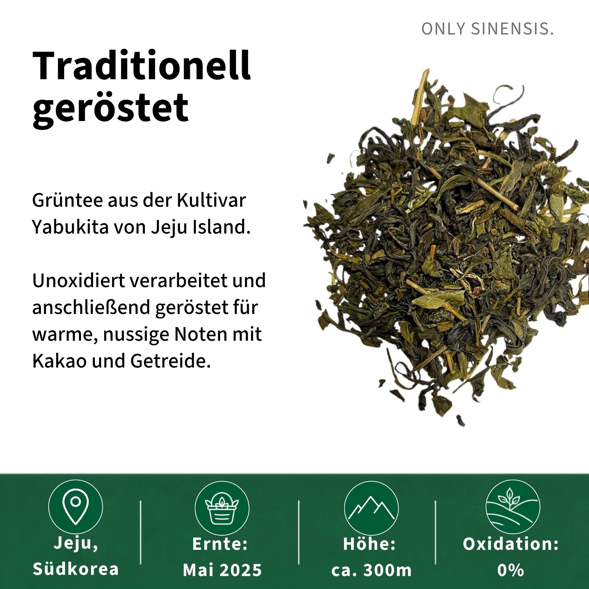 Grüner Tee Hojicha Jeju Island - Berlin Tea Academy Only Sinensis